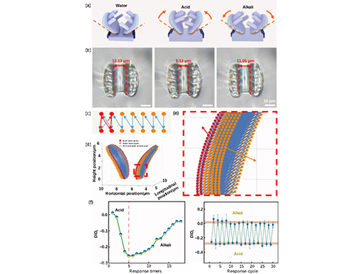 1761209067835599.jpg 未标题-3.jpg