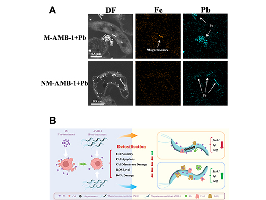 1762412528631951.jpg 未标题-2.jpg