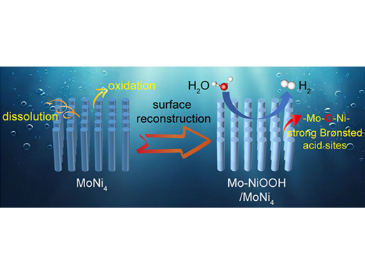 1762480937897562.jpg 未标题-2.jpg