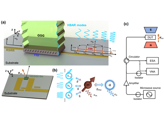 1764818448639367.jpg 未标题-2.jpg