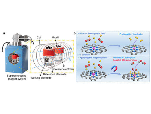 1766021745820012.jpg 未标题-2.jpg