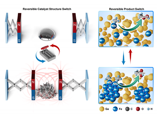 1766021872450402.jpg 未标题-3.jpg